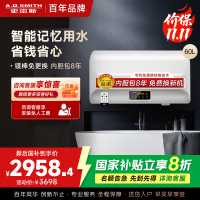 AO史密斯60升电热水器专利免更换镁棒金圭内胆E60EDX
