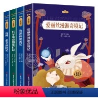 全套4册 [正版]全套4册 六年级课外阅读书籍下册原著完整鲁滨逊漂流记小学生爱丽丝梦游仙境漫游奇境记尼尔斯骑鹅旅行记汤姆