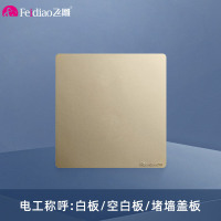 飞雕(FEIDIAO)118型开关插座面板 功能键模块件自由组合搭配 格调118流光金空白面板功能键(十个装)