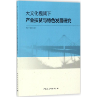 音像大文化视阈下产业扶贫与特色发展研究邓子纲 著