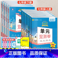 [北师版]数学 七年级上 [正版]2024金考卷七年级下册上册数学语文英语人教版北师华师试卷全套活页题选名师名题初中同步