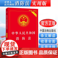 正版2024年适用新版中华人民共和国消防法 实用版 消防法条文解读消防法规文件行政法规 中国法制出版社