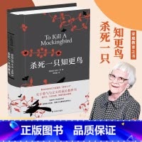 [全4册 成长小说合集]杀死一只知更鸟+布鲁克林有棵树+麦田里的守望者+奇风岁月 [正版]杀死一只知更鸟 哈珀李著 中学