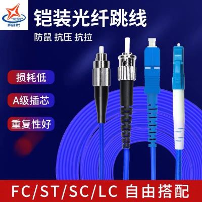 辉宏时代光纤线SC-FC单模单芯铠装光纤跳线防鼠咬抗拉力强防水光缆电信级3米