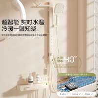 惠达(HUIDA)-TF575/TF575A 无顶喷花洒奶油风恒温淋浴花洒套装家用简易浴室枪灰色沐浴器