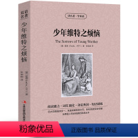 [中英互译]少年维特之烦恼 [正版]世界十大名著全套中英文10册简爱傲慢与偏见飘巴黎圣母院悲惨世界呼啸山庄茶花女复活红与