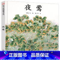 [正版]原创图画书 夜莺 夜莺的歌声属于每一个人 绘本0-3-6-8岁幼儿少儿读物 视觉激发脑力开拓 益智亲子早教故事