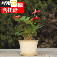 三维工匠波浪花边莲花盆塑料树脂仿陶型大花盆多肉绿萝花盆可水培送托盘 米色[开孔留言] 中号[口径19cm]10个花盆容器