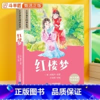 红楼梦[彩图注音] [正版]红楼梦彩图注音版小学一年级课外阅读书籍语文人教版经典名著小学生二三年级儿童文学读物带拼音的故