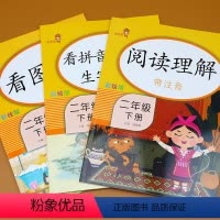 [正版]3本二年级下册 阅读理解训练 看图写话 看拼音写词语生字注音人教版语文二年级下专项练习册阅读理解专项训练书看图
