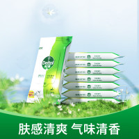 滴露 卫生湿巾10片*8包*2袋