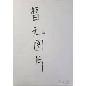 正版新书]杏林春暖—张义明医案选辑赵芸,田传鑫,郭艳苓主编97