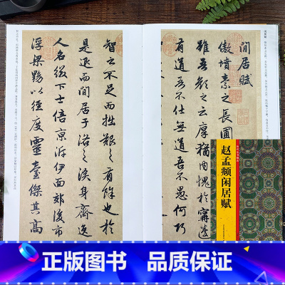 [正版]赵孟頫闲居赋 历代法书掇英 注释简体旁注 高清名家墨迹临摹赏析经典范本碑帖法帖 初学者入门临习毛笔软笔行书书法