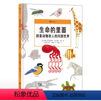 生命的里面 [正版]浪花朵朵 生命的里面:探索动物和人的内部世界 7-10岁 身体系统 翻翻书 人体动物科普