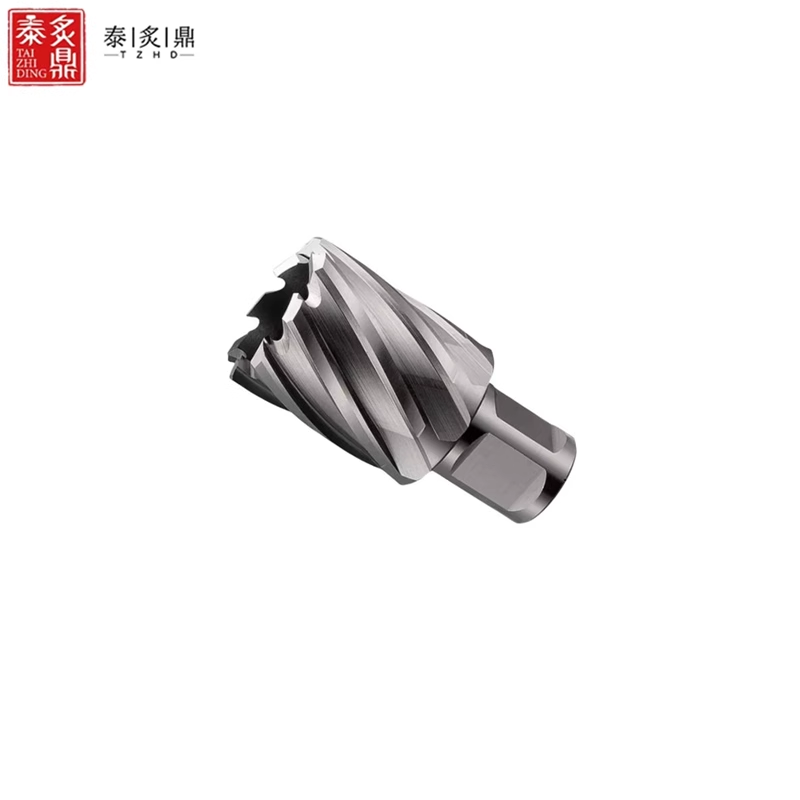 泰炙鼎 高速钢实心钻头 31*25 个