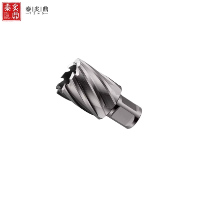 泰炙鼎 高速钢实心钻头 31*25 个