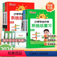 [系统总复习]语文+数学+英语+科学 小学升初中 [正版]2024阳光同学小升初总复习小学毕业升学系统总复习语文数学英语