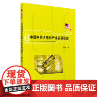 中国网络大电影产业发展研究