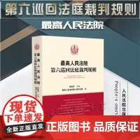 正版 最高人民法院第六巡回法庭裁判规则 杨临萍 主编 最高人民法院第六巡回法庭 编 人民法院出版社 9787510936