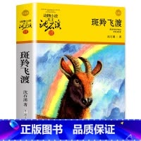 斑羚飞渡 [正版]斑羚飞渡 沈石溪的书 沈石溪动物小说大王浙江少年儿童出版社 小学生课外书阅读三四五六年级儿童故事书 羚