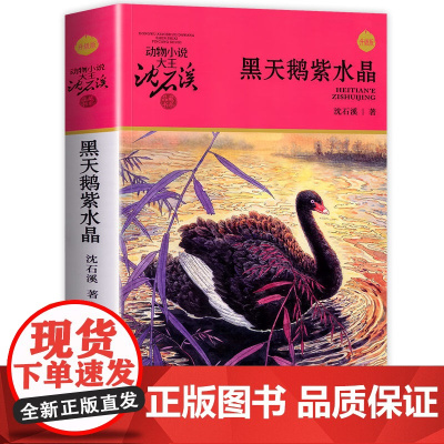 黑天鹅紫水晶 升级版 动物小说大王沈石溪品藏书系 正版 四年级课外阅读书目 小学生儿童文学 课外读物书籍