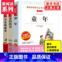 套装3册 [正版]爱阅读快乐读书吧 小英雄雨来 童年爱的教育 小学语文6年级上册拓展阅读儿童文学课程化丛书 小学六6年级