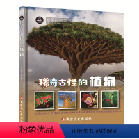 稀奇古怪的植物 [正版]单本 稀奇古怪的动物植物昆虫地方宇宙海洋生物 中国少年儿童百科全书6-12岁青少年版全套彩图一