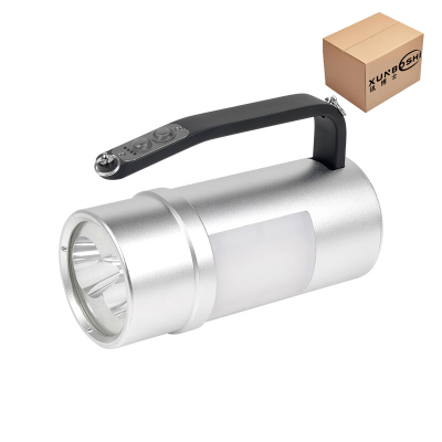 讯博士 SCGZD110 220V 2*12W IP68 LED 手持工作灯 1.00 盏/个(计价单位:个)银色