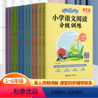 小学语文阅读分级训练 小学一年级 [正版]名师课堂 小学语文阅读分级训练全2册 一二三四五六年级上下册123456 小学