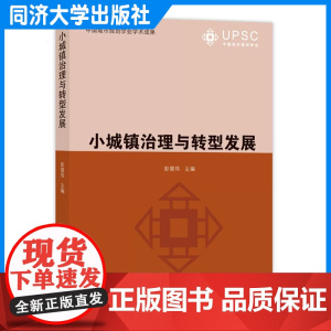 小城镇治理与转型发展 同济大学出版社