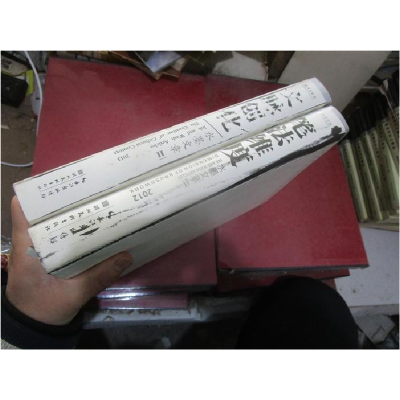 正版新书]水墨文章:笔法维度尚辉 樊枫9787539455938