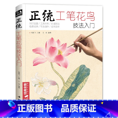 [正版]正统工笔花鸟技法入门基础教程书籍中国工笔画白描勾线杨建飞sh