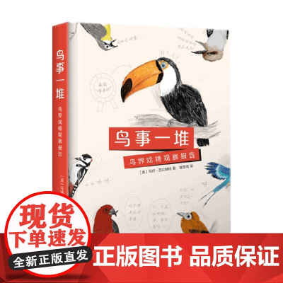 鸟事一堆 鸟界戏精观察报告 马特·克拉赫特 著 科普读物
