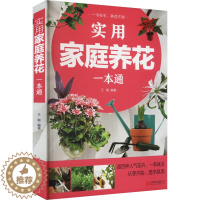 [醉染正版]实用家庭养花一本通 王敏 编 生活休闲 生活 京华出版社 图书