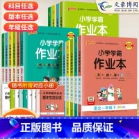 科学[大象版] 五年级上 [正版]2024春小学学霸作业本一年级二年级三年级四五六年级上册下册语文数学英语人教版北师苏教