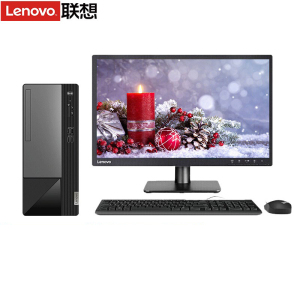 联想(Lenovo)扬天M460商用台式电脑21.5英寸显示器(I3-13100 8G 512G固态 Win11 官方标配