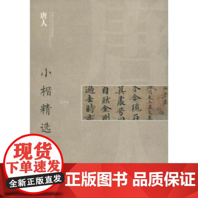 兜沙经 中国古代书家小楷精选 唐人3 楷书毛笔书法字帖中国书法大全入门自学技法临摹临习书籍 江西美术出版社