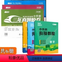 [共6册]河北名校分班卷+衔接教程 小学升初中 [正版]2024版小升初龙门一号卷河北名卷六年级小升初总复习原卷 数学语