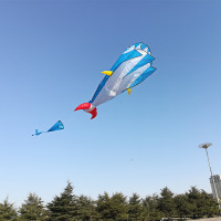 三维工匠专业巨型大风筝成型软体鲸鱼2020新款初学者微风易飞超大创意 4m橙章鱼+18cm水晶轮+300m粗线送铃铛
