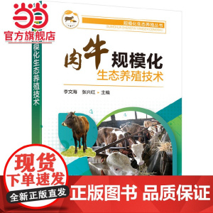 规模化生态养殖丛书--肉牛规模化生态养殖技术 李文海 化学工业出版社 正版书籍