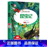 [彩图注音版]昆虫记 [正版]稻草人 小学生一二三年级阅读课外书必读彩图注音版经典古典世界名著班主任老师儿童文学绘本经典