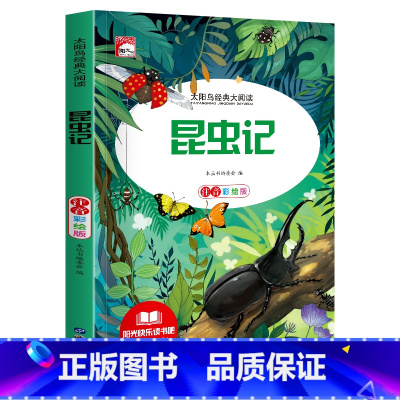 [彩图注音版]昆虫记 [正版]稻草人 小学生一二三年级阅读课外书必读彩图注音版经典古典世界名著班主任老师儿童文学绘本经典