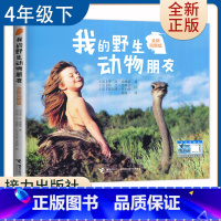 [正版]我的动物朋友 全新完整版 蒂皮德格雷著 人与自然科学科普四年级小学生课外语文阅读 接力出版社