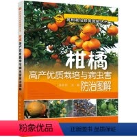 [正版] 果树栽培修剪图解丛书--柑橘高产优质栽培与病虫害防治图解 柑橘栽培技术 柑橘病虫害防治大全书 化学工业