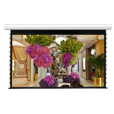 经科JK电动遥控拉线投影幕布N4-FI/1t玻纤拉绳幕灰幕80寸16:9