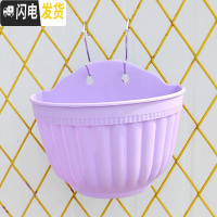 三维工匠阳台客厅悬挂墙式壁挂半圆创意绿萝吊兰式塑料花盆装饰送挂钩配件 紫色6个(送配件) 大号[长25cm]花盆容器