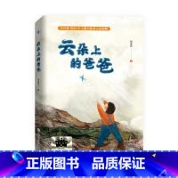 云朵上的爸爸 [正版]《云朵上的爸爸 》2024百班千人暑期书目小学生3年级名师全新