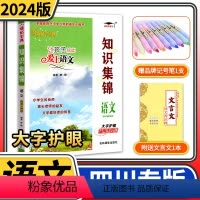 [正版]四川专版小学语文知识集锦 小升初语文人教版核心知识大集结培优宝典小学生四五六年级重点知识基础知识大全