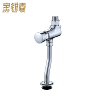 宝锐鑫 小便冲洗阀延时阀 大阀体(六角头子) 个