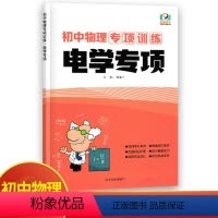 电学专项 初中通用 [正版]初中物理专项训练电学专项通用版 初中必刷题库89八九年级中考物理专题分类训练习题集基础题练习